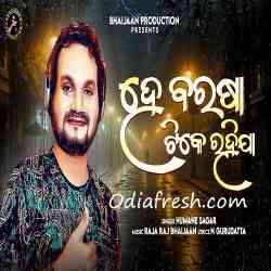 Padaru Alata Libhijiba Tara